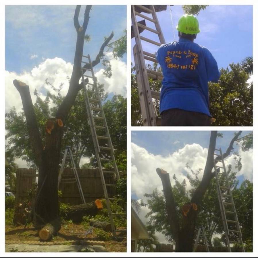 Landscaping project collage image 1